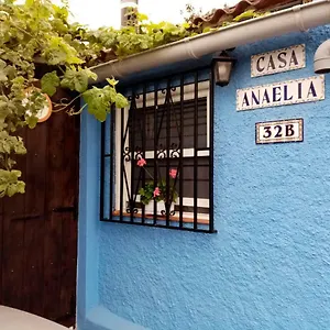 https://casa-anaelia.tenerifehoteles.net