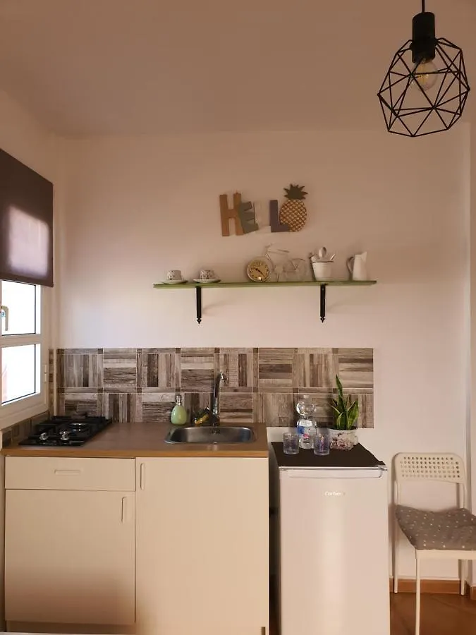 Home Favorito タラハレホ スペイン